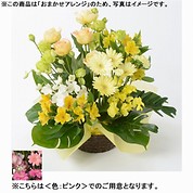 [フローレット]おまかせアレンジメント「FLORET」（S）【ピンク】