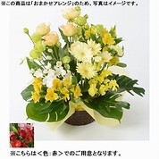 [フローレット]おまかせアレンジメント「FLORET」（S）【赤】