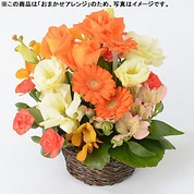 [フローレット]おまかせアレンジメント「FLORET」（SS）【オレンジ】