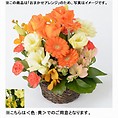 [フローレット]おまかせアレンジメント「FLORET」（SS）【黄】