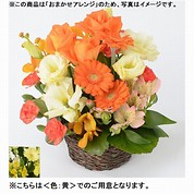 [フローレット]おまかせアレンジメント「FLORET」（SS）【黄】