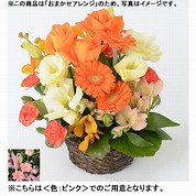 [フローレット]おまかせアレンジメント「FLORET」（SS）【ピンク】