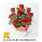 Large Roses アレンジメント（S）【黄】