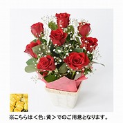 [フローレット]Large Roses アレンジメント（S）【黄】