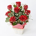 [フローレット]Large Roses アレンジメント（S）【赤】