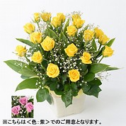 [フローレット]バラ アレンジメント（L）【紫】