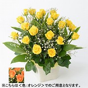 [フローレット]バラ アレンジメント（L）【オレンジ】