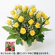 [フローレット]バラ アレンジメント（L）【濃ピンク】