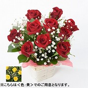 [フローレット]バラ アレンジメント（S）【黄】