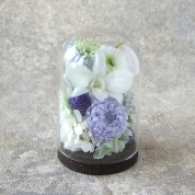 [パルク・フローラル]デンファレ入りガラスドームのお供えの花（L） 華純　