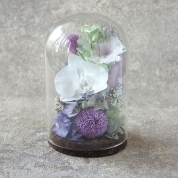 [パルク・フローラル]胡蝶蘭入りガラスドームのお供えの花（LL） 麗華　