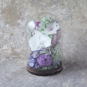 [パルク・フローラル]胡蝶蘭入りガラスドームのお供えの花（LL） 麗華　