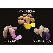 【北海道フーディスト】北海道産3種類のスペシャルじゃがいもセット(3種3kg)
