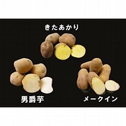 【北海道フーディスト】北海道産3種類の人気じゃがいもセット(3種3kg)