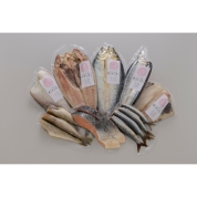 ［北海道フーディスト］ピチピチ造り魚醤干し　8点セット