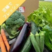 【朝どれ】［Sarorun de Gifts］北海道長沼町よりお届け！旬の野菜BOX