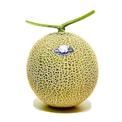 【食品お買得市】［築地定松］静岡温室メロン