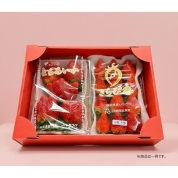 ［築地定松］【4000円相当】1月限定！定松で使える300円クーポン付き！築地定松店長厳選いちご品種お任せセット！