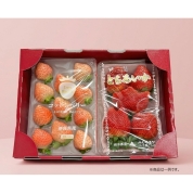 ［築地定松］【7000円相当】定松で使える500円クーポン付き！築地定松店長厳選いちご品種お任せセット！