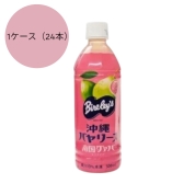 [沖縄宝島]沖縄バヤリース　グァバ　1ケース（24本）　