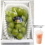 【新宿店お渡し】［築地定松］【定松ドリンクチケット付】岡山県産晴王シャインマスカット1箱(1房）