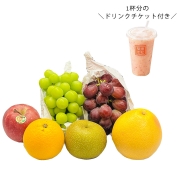 【新宿店お渡し】［築地定松］【定松ドリンクチケット付】シャインマスカットのフルーツ詰め合わせ