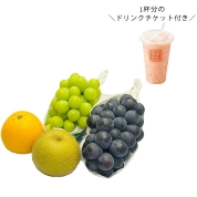 【新宿店お渡し】［築地定松］【定松ドリンクチケット付】4種のフルーツ詰め合わせ