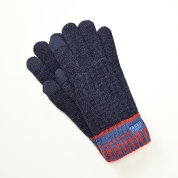 ［TAKEO KIKUCHI］紳士手袋　コン