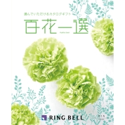 [RING BELL]百花一選 ざくろ