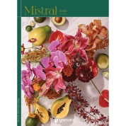 選べるギフト［ミストラル］セーブル