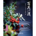 [RING BELL]百花一選 山桃（やまもも）　