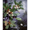 [RING BELL]百花一選 木斛（もっこく）　
