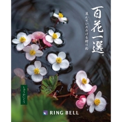 [RING BELL]百花一選 秋海棠（しゅうかいどう）　