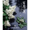 [RING BELL]百花一選 珊瑚樹（さんごじゅ）　