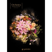 選べるギフト［ミストラル］オーケストラ