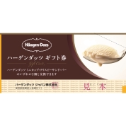 ハーゲンダッツギフト券　１０枚
