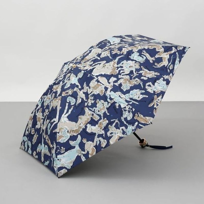 ［ビューランス］プリント晴雨兼用（折り畳み・ミニ傘）1BH 27743　35（ブルー）