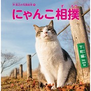 [猫写真家・沖昌之]にゃんこ相撲 下町編