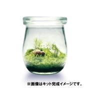 [Feel The Garden]苔のテラリウムてづくりキット　～牧場の風景　typeB