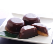 【産直】福井 越前塩 水ようかん