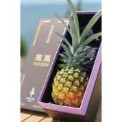 【産直】鳳凰ゴールデン　1.6~2.0kg