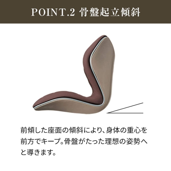 スタイルプレミアム ブラック Style PREMIUM スタイル プレミアム 座椅