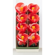 【冬スイーツ】[菓匠 清閑院]　椿の花(8個入)