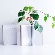 本を開けば浮かび上がる　ブック型花瓶／Flowery Tale