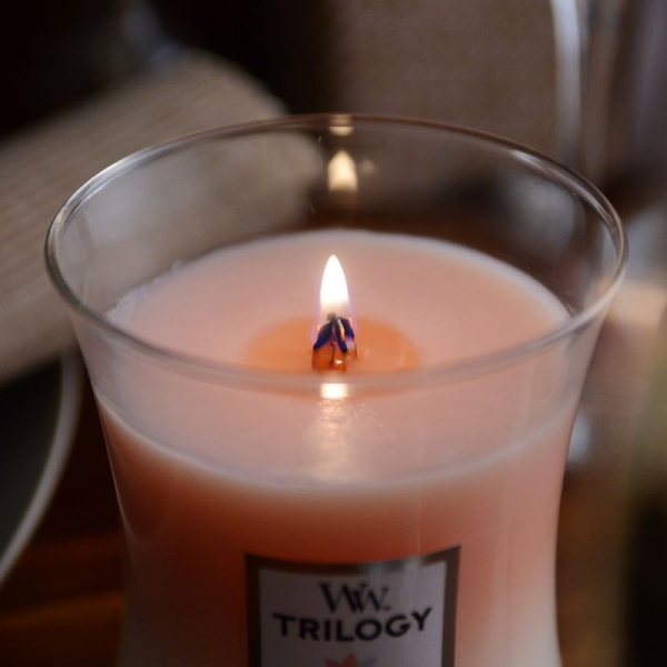 森の贈り物　木芯　wood candle(ひのき) アロマキャンドル