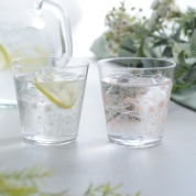 花咲く庭が描かれたペアグラス～ガーデンタイム～