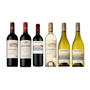 ◎名門ワイナリーが造る チリワイン赤白6本セット
